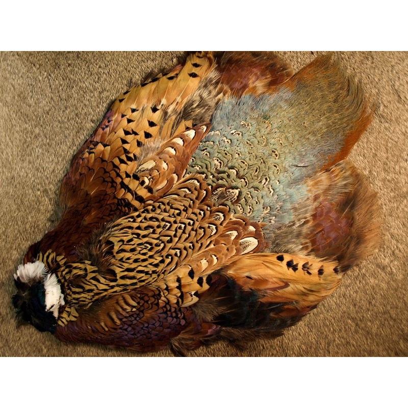 Nature's Spirit Ringneck Pheasant Whole Skin