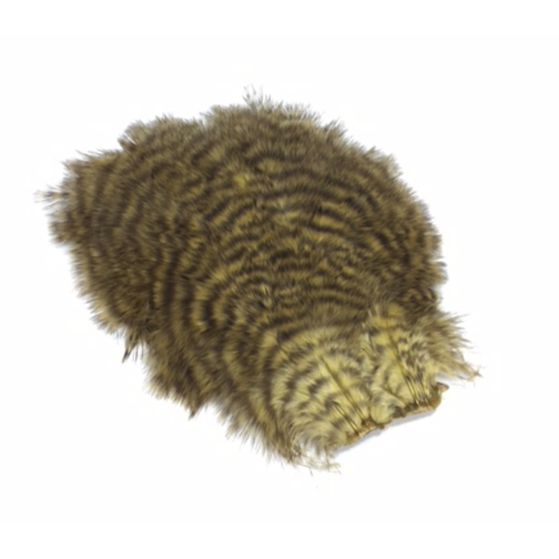 Whiting Chickabou Patch
