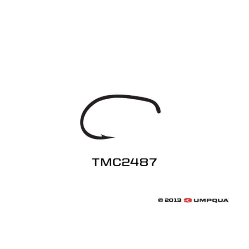 Tiemco 2487 Hook 100 Pack