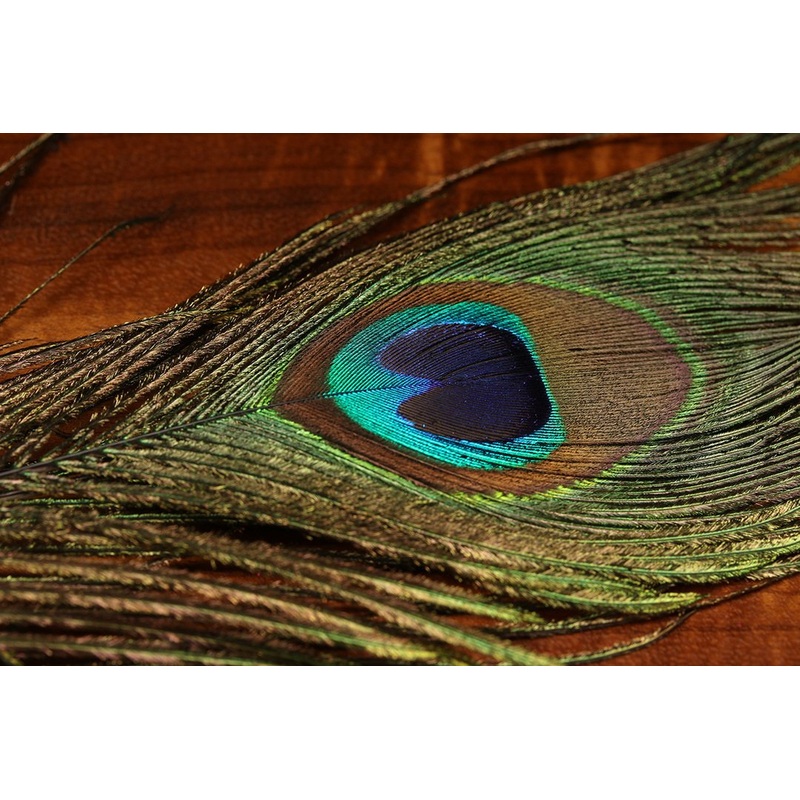 UV2 Peacock Eyes Natural 2 Per Bag