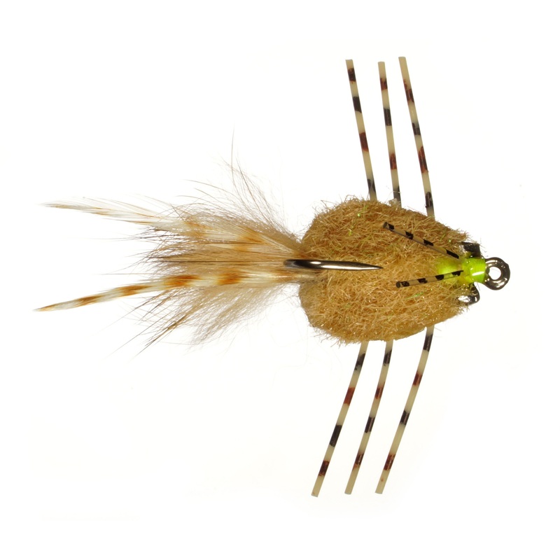 Colby's Casa Blanca Raghead Permit Crab