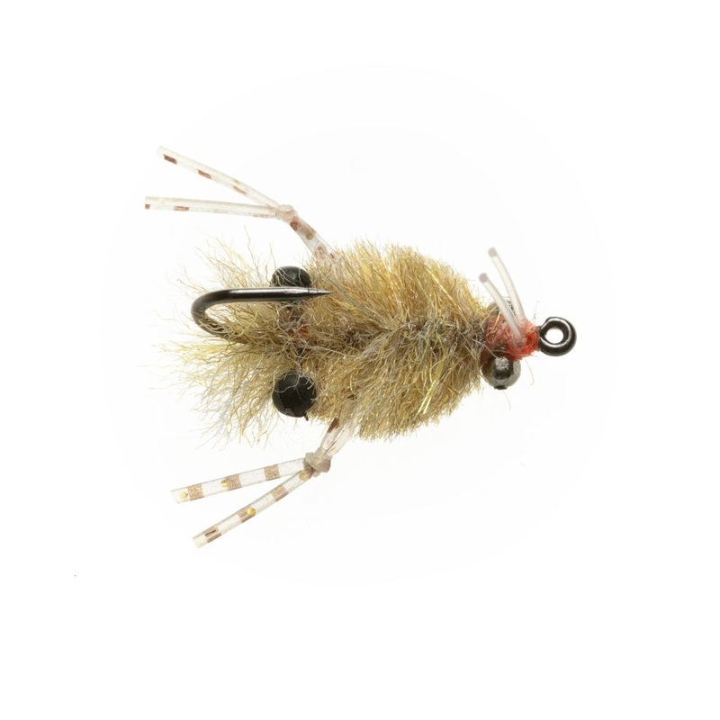 EP Turneffe Micro Crab #8