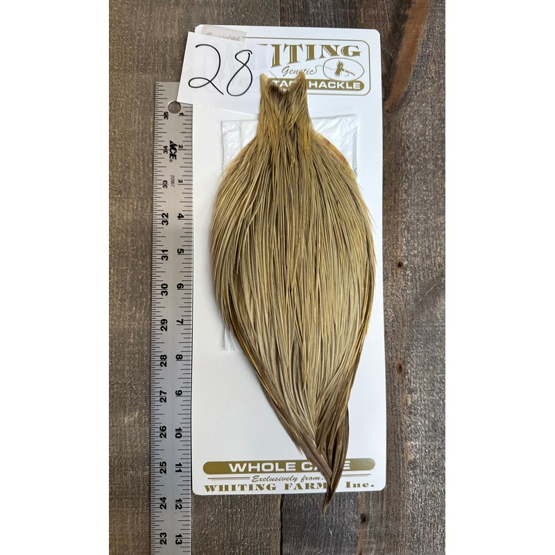 Whiting Heritage Cape Grade #1 - #28