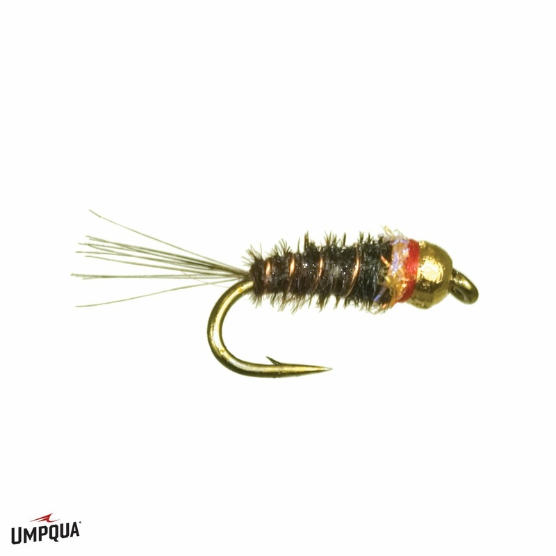 Frenchie Tungsten Nymph