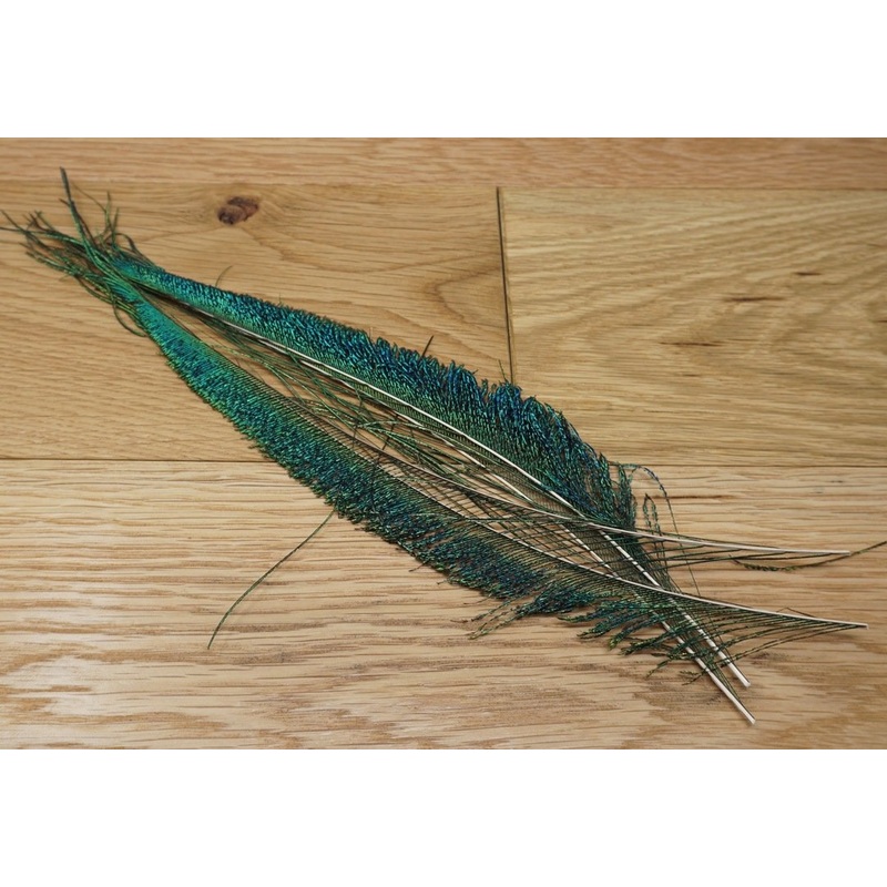 Nature's Spirit Peacock Sword - 2 matched pair Natural