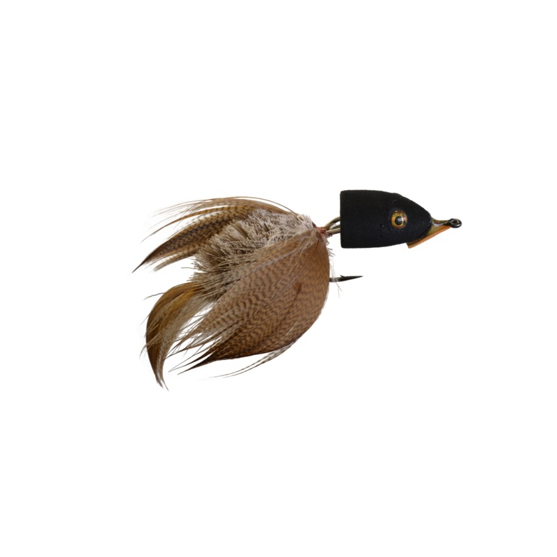 Mason's Baby Swallow
