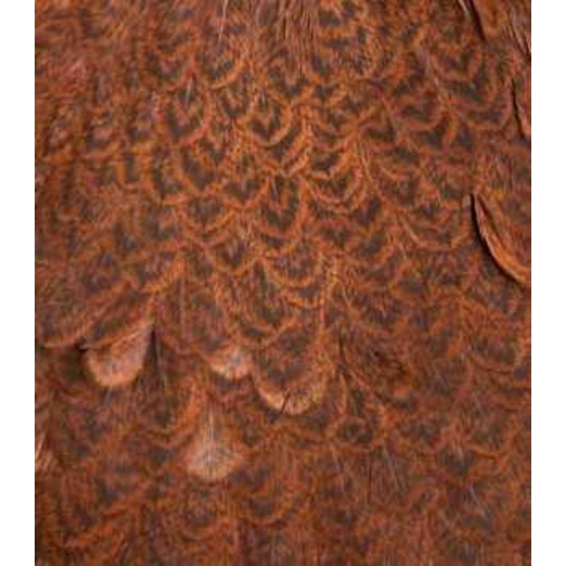 Whiting Brahma Hen Saddle