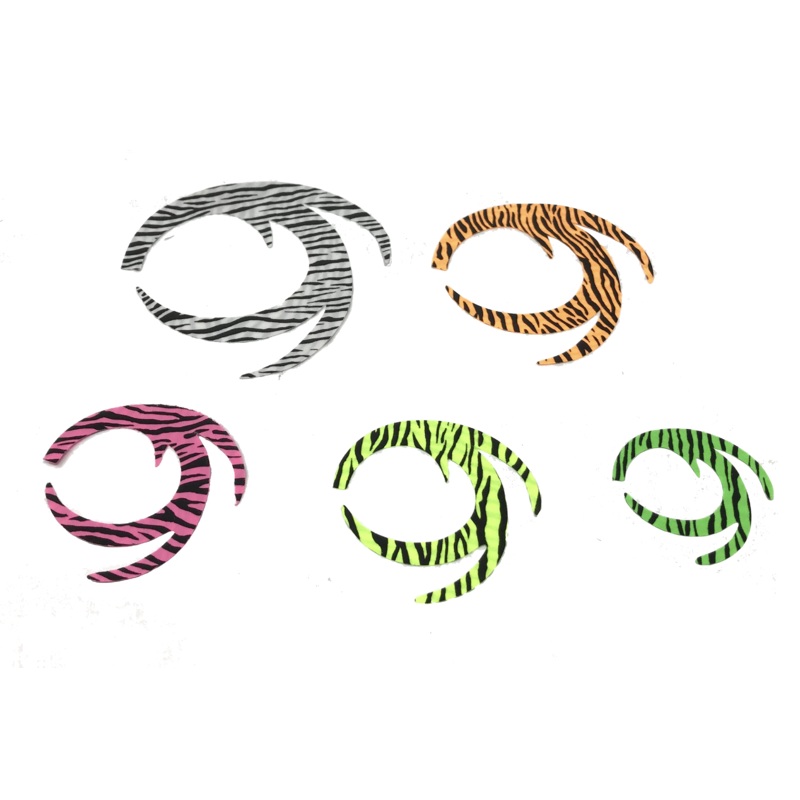 Barred Pacchiarini's Dragon Tails