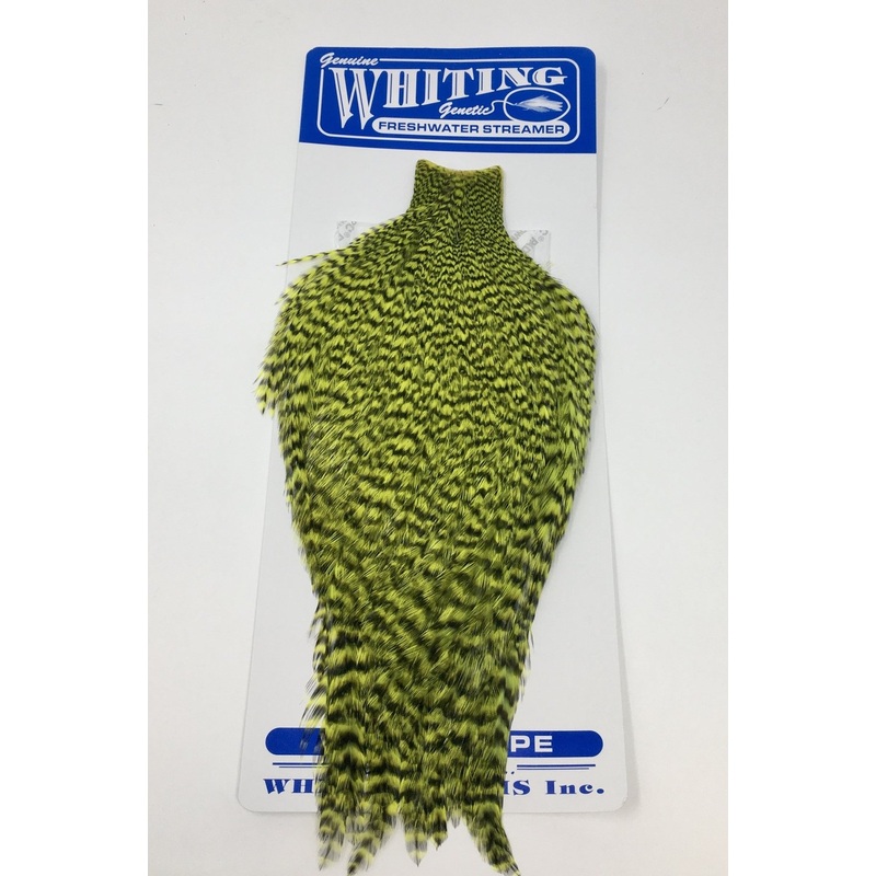 Whiting American Freshwater Streamer Cape
