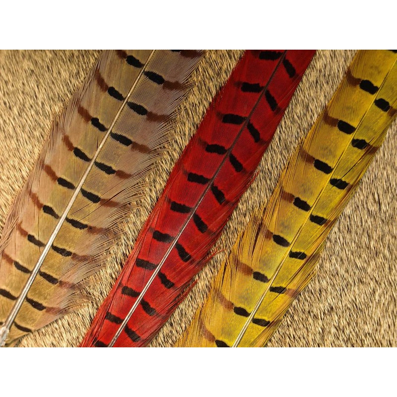 Nature's Sprit Ringneck Pheasant Center Tails