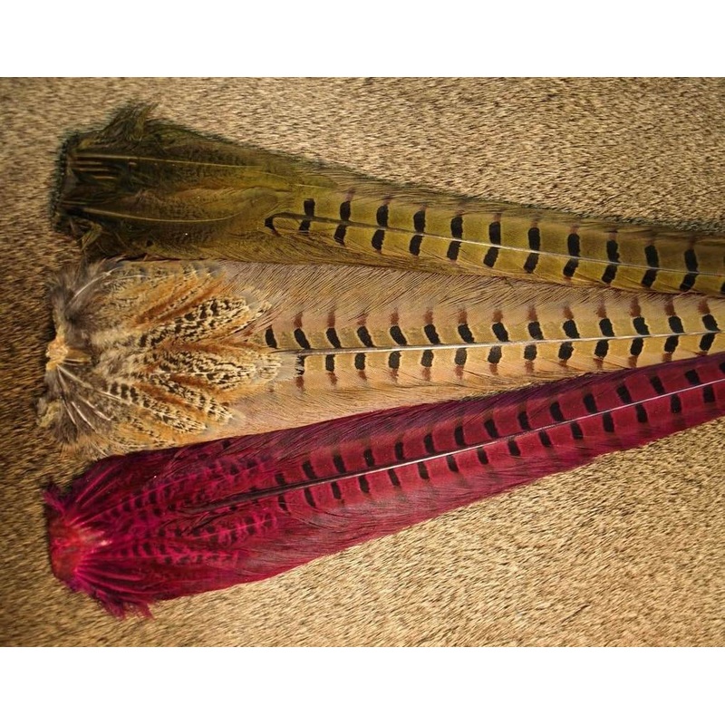 Nature's Sprit Ringneck Pheasant Tail Clump