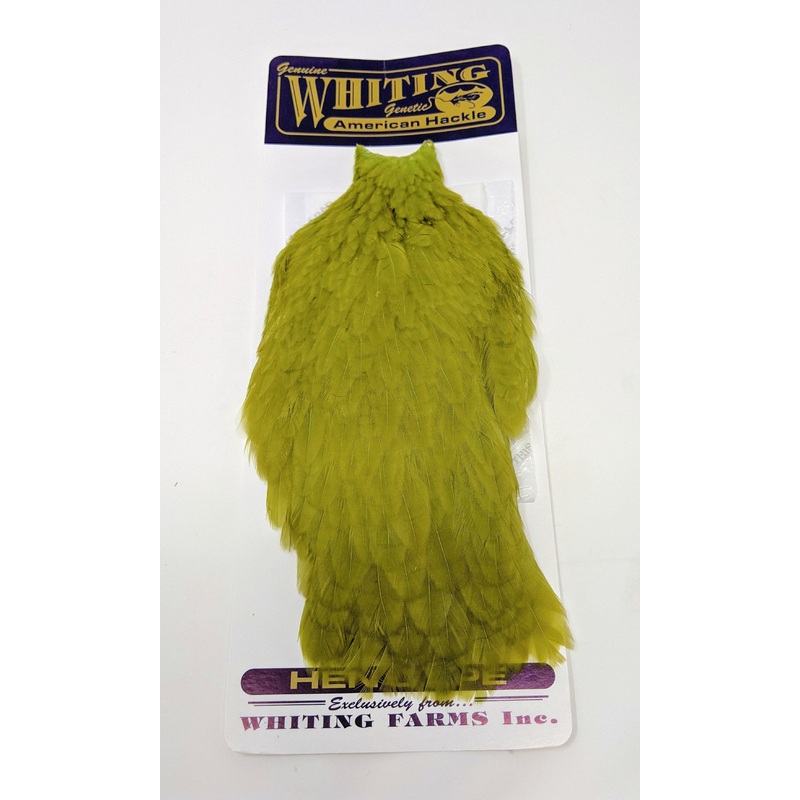 Whiting American Hen Cape