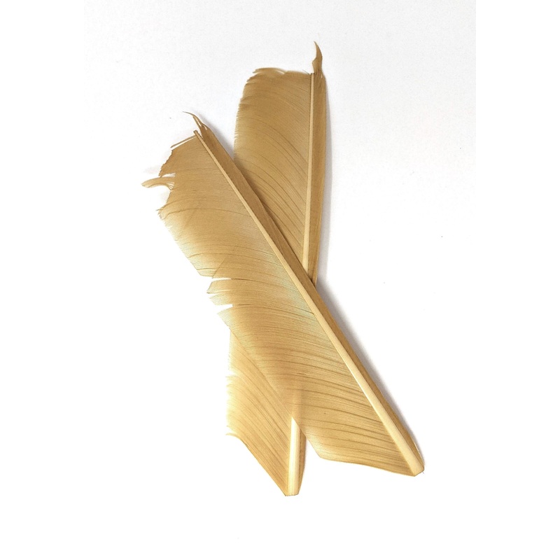 Nature's Spirit Turkey Biot Quill Pieces