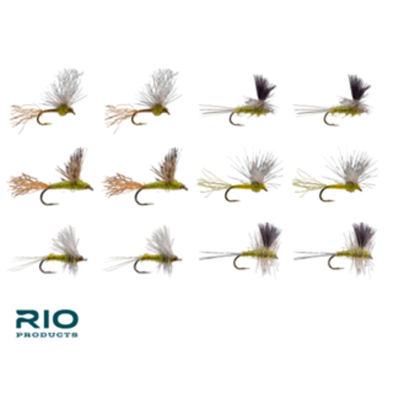 RIO BWO Dry Assortment
