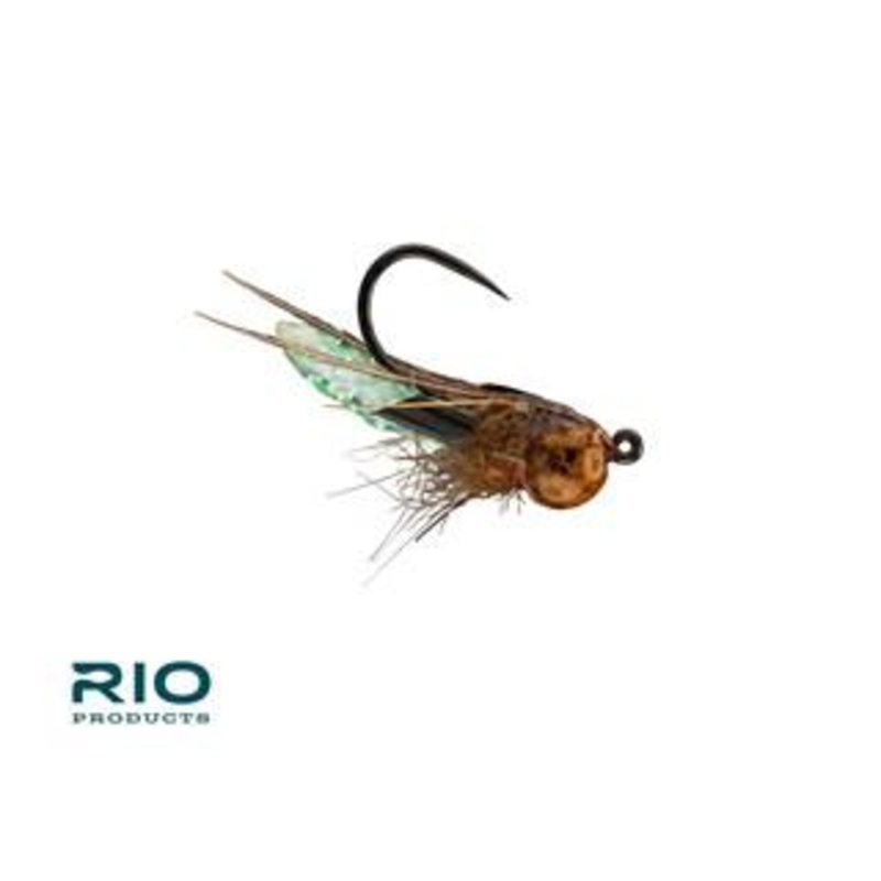RIO Puparazzi