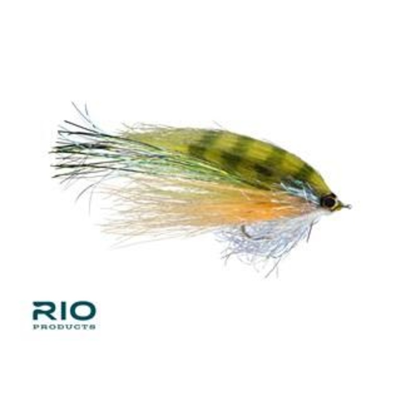 RIO's Flashdance