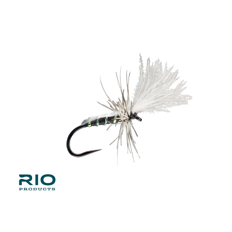 Rio Slick Midge Adult