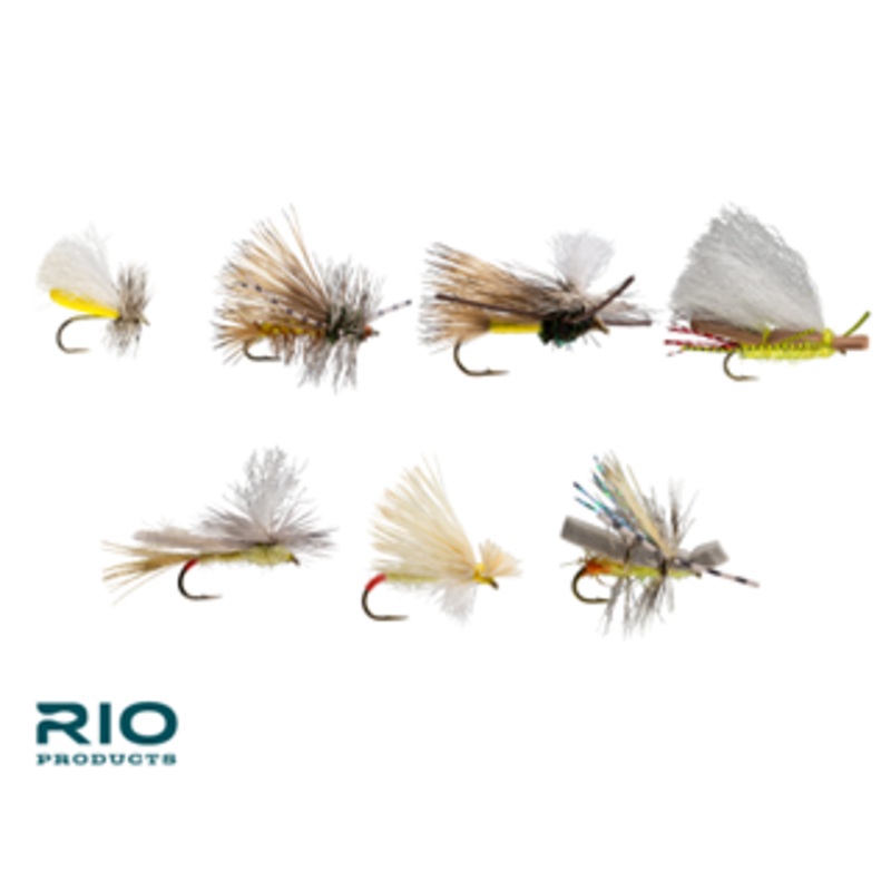 RIO Yellow Sally Dry Assortment
