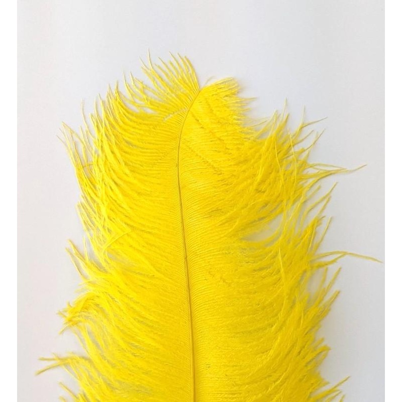 Wapsi Ostrich Plumes
