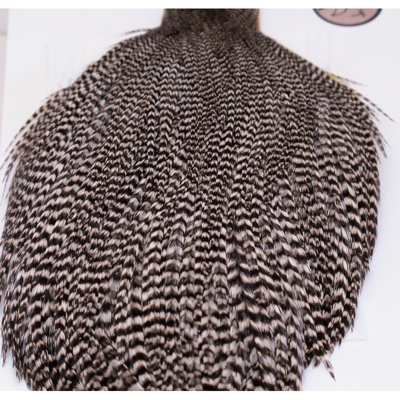 Whiting Bronze Cape