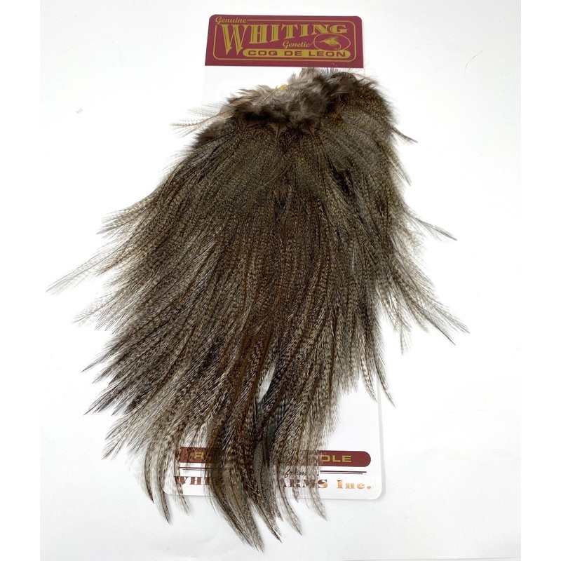 Whiting Coq de Leon Bronze Saddle