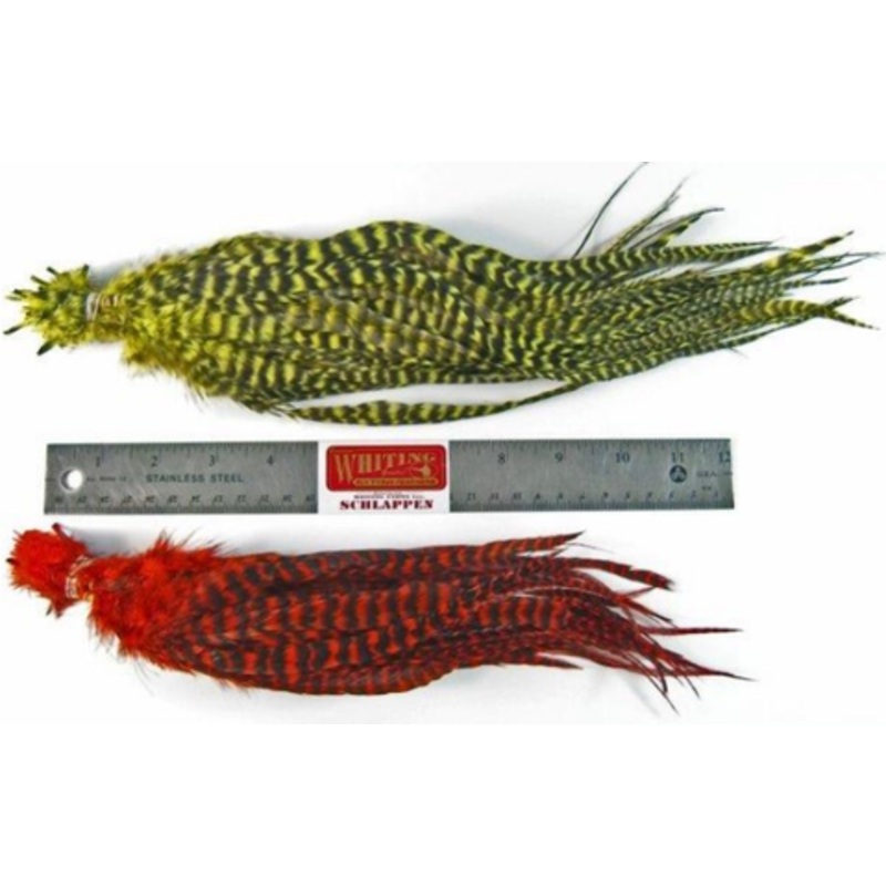 Whiting Schlappen Pack 10-14" Bundle