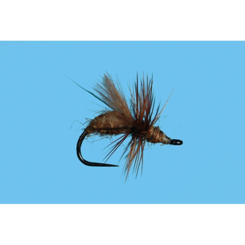 CDC Flying Ant Honey