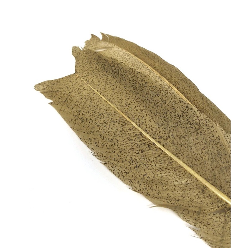 Nature's Spirit Micro Mottled Turkey Wing Quills