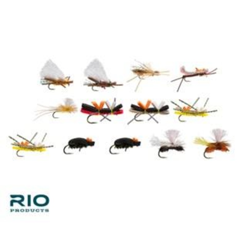 Rio Terrestrial Assortment