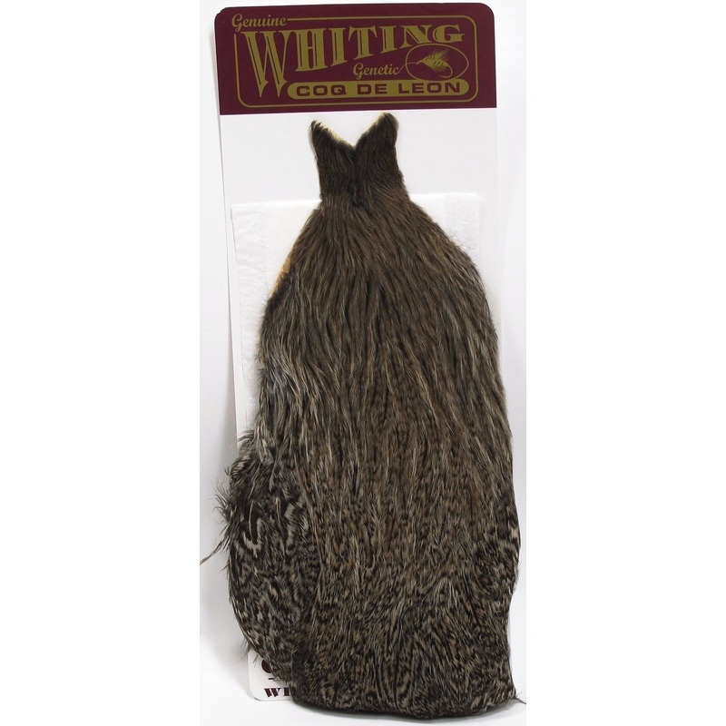 Whiting Coq de Leon Hen Cape