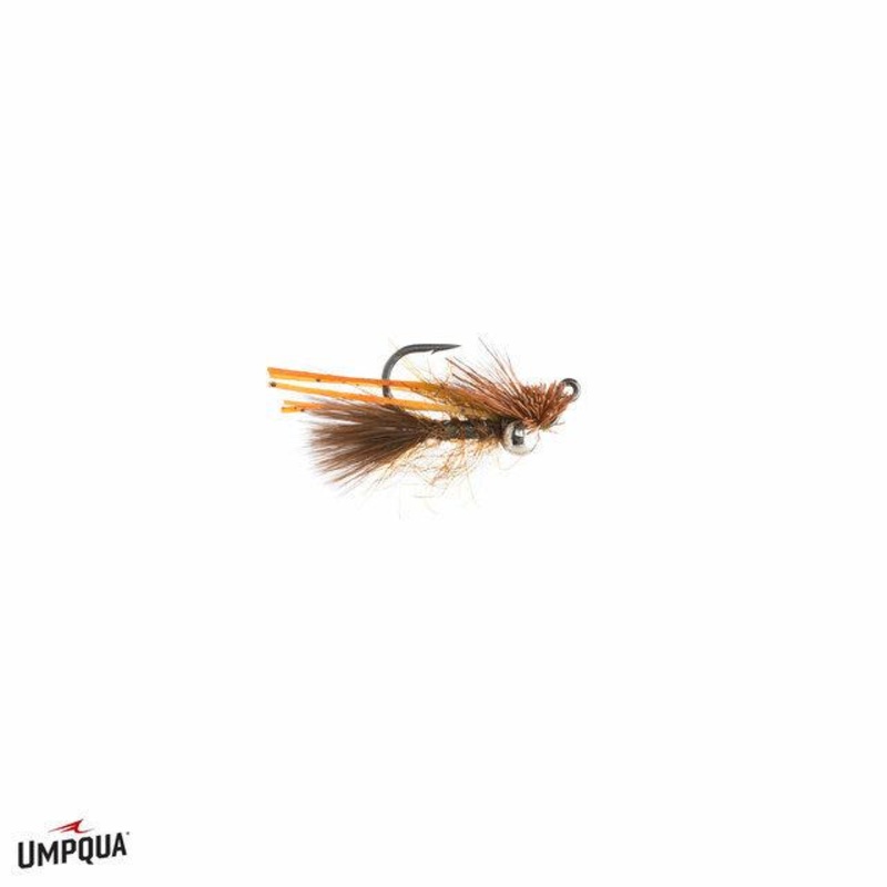 Great Carpholio Jig