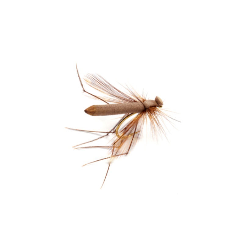 Adult Crane Brown 10