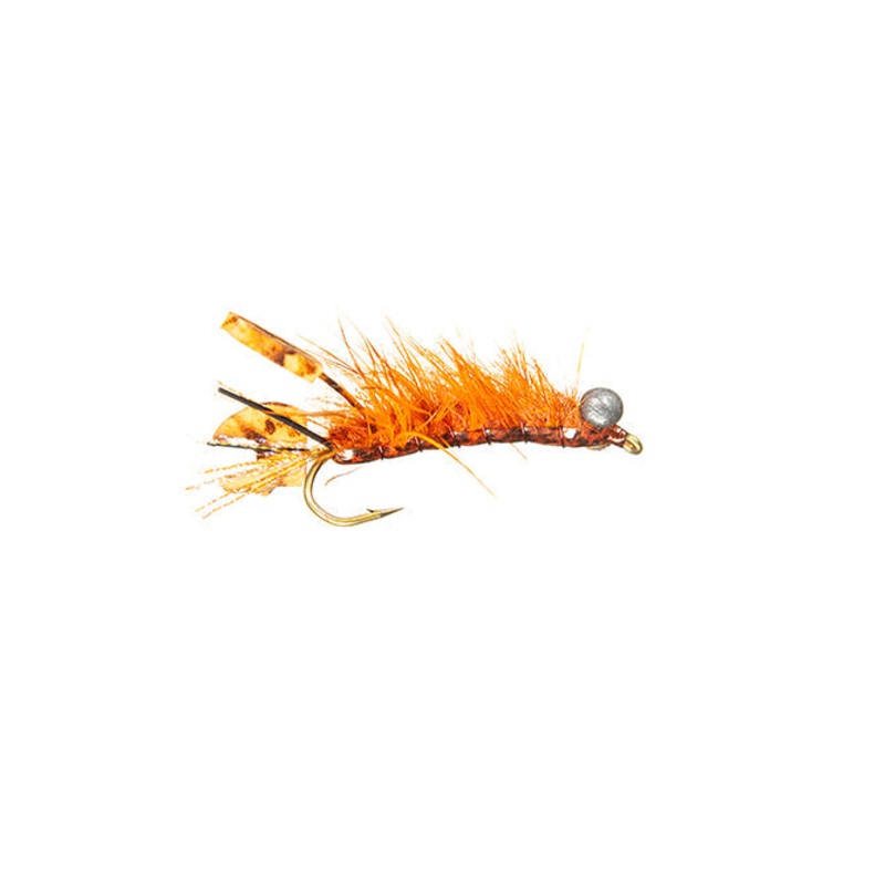 Fighting Craw