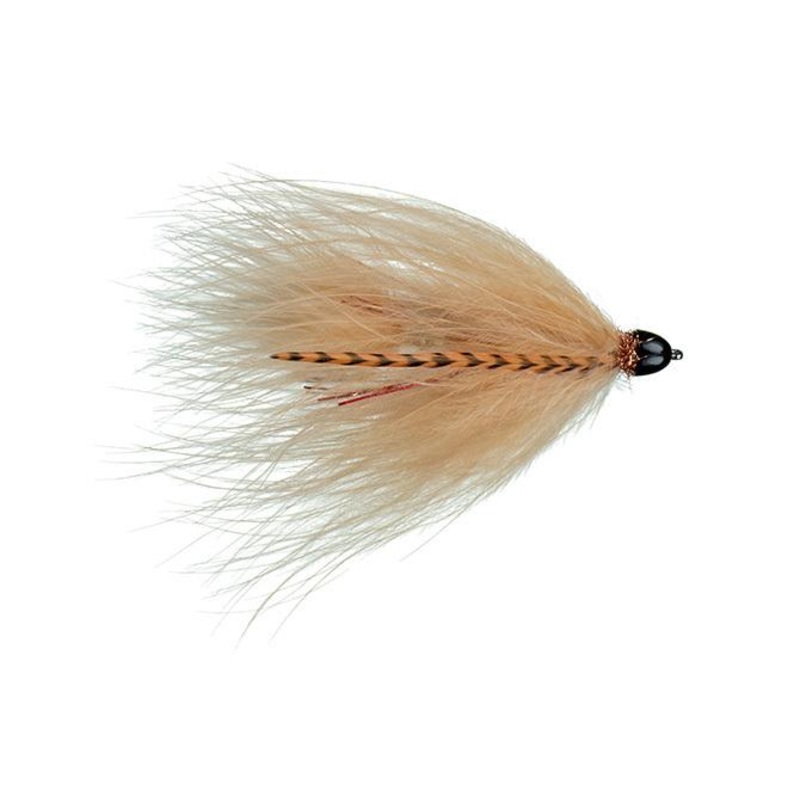 Galloup's Conehead TA Leech
