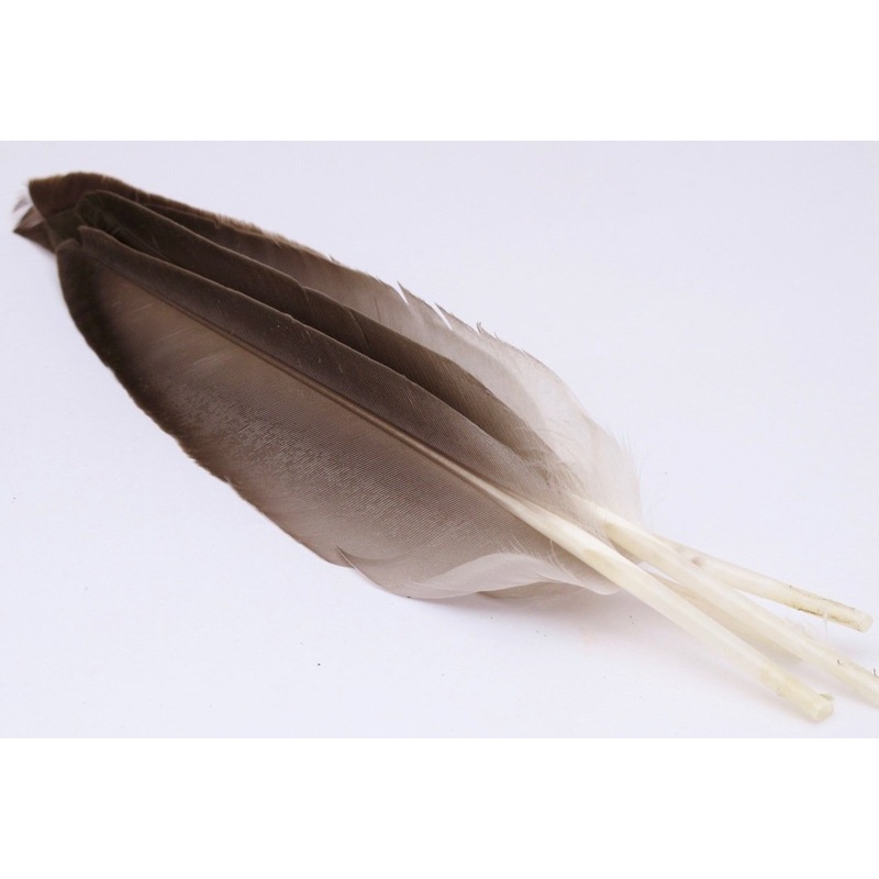 Nature's Spirit Duck Quills