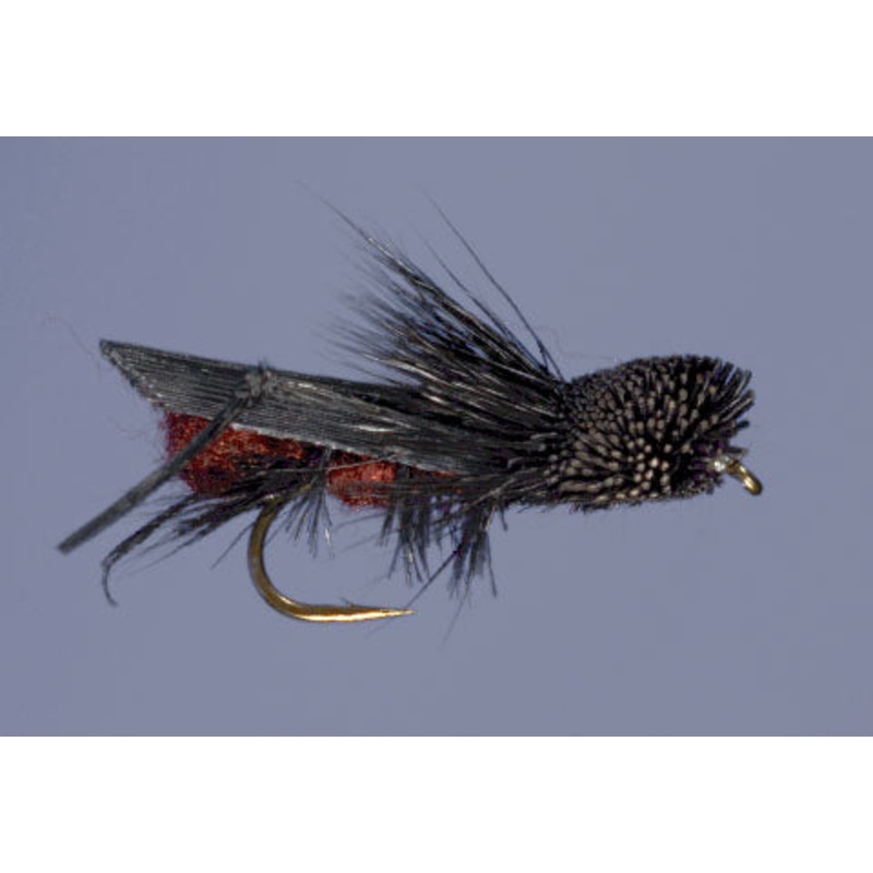 Dave's Cricket - Black