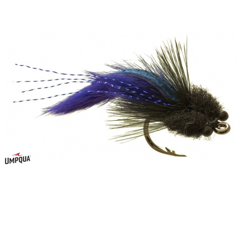 Tarpon Toad