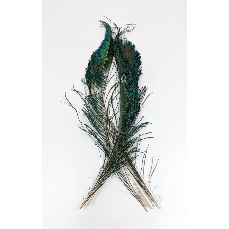 Wapsi Peacock Swords