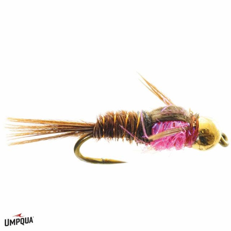 Hot Belly Pheasant Tail Nymph