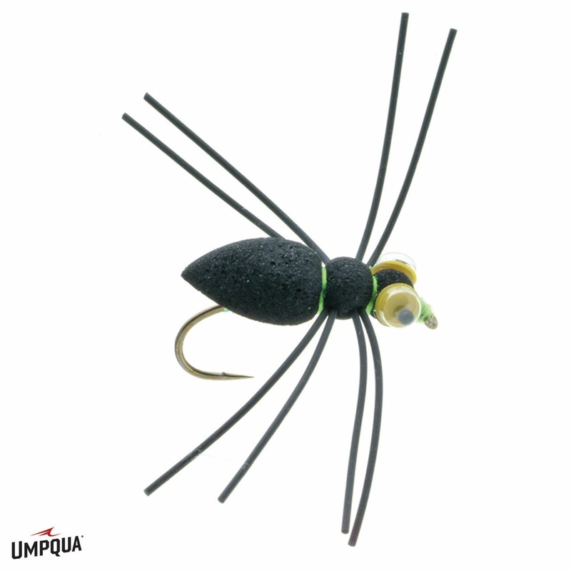 Sponge Spider