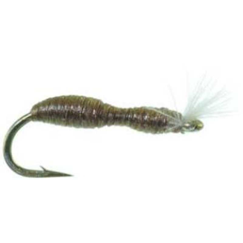 Blackfly Larva