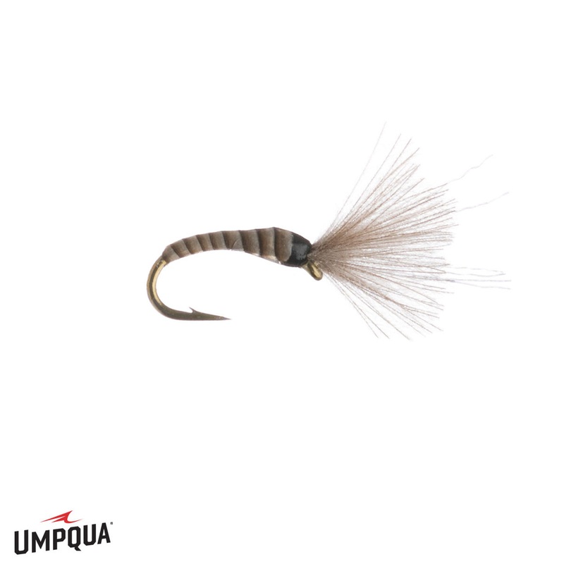 Craven's Mole Midge