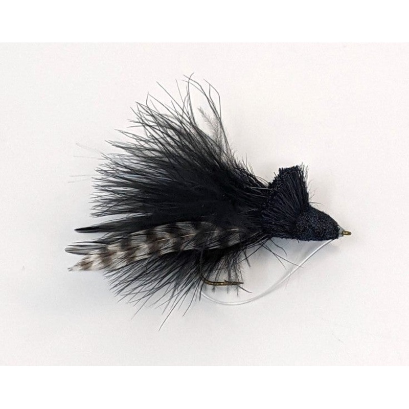 Dahlberg Diving Bug - Black 2
