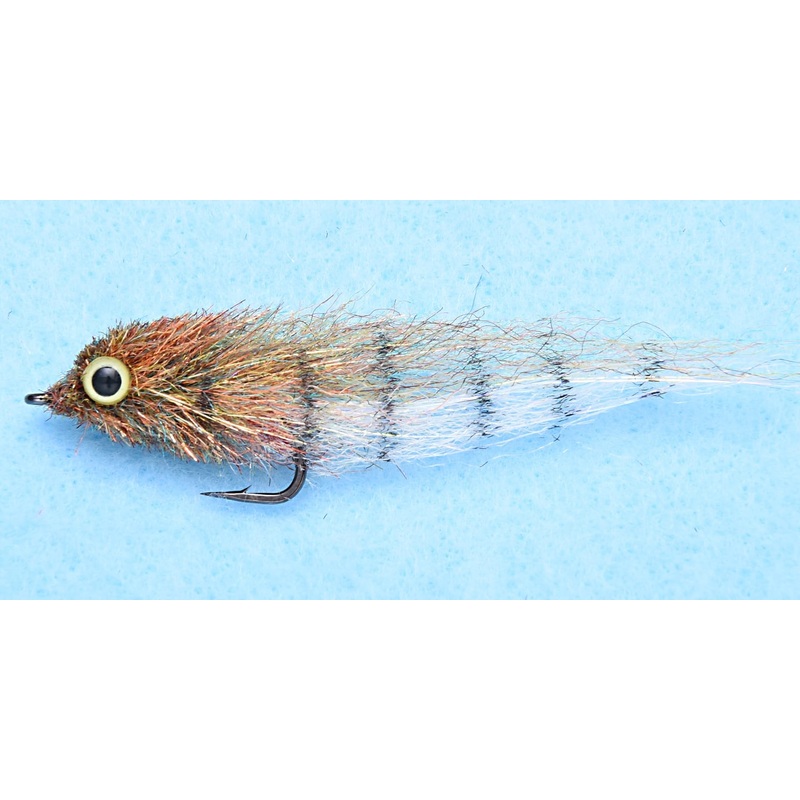 EP Little Minnow Shaded