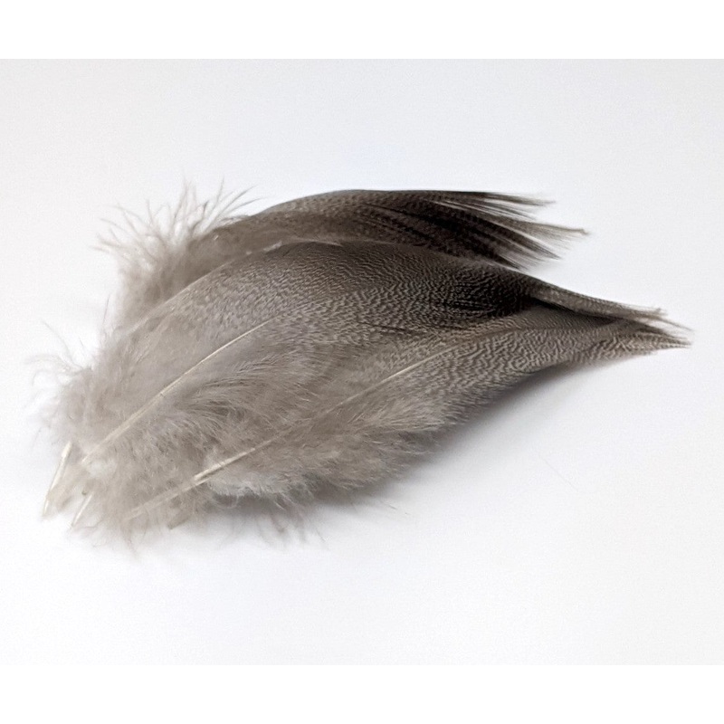 Nature's Spirit Bronze Mallard 24 Select Feathers
