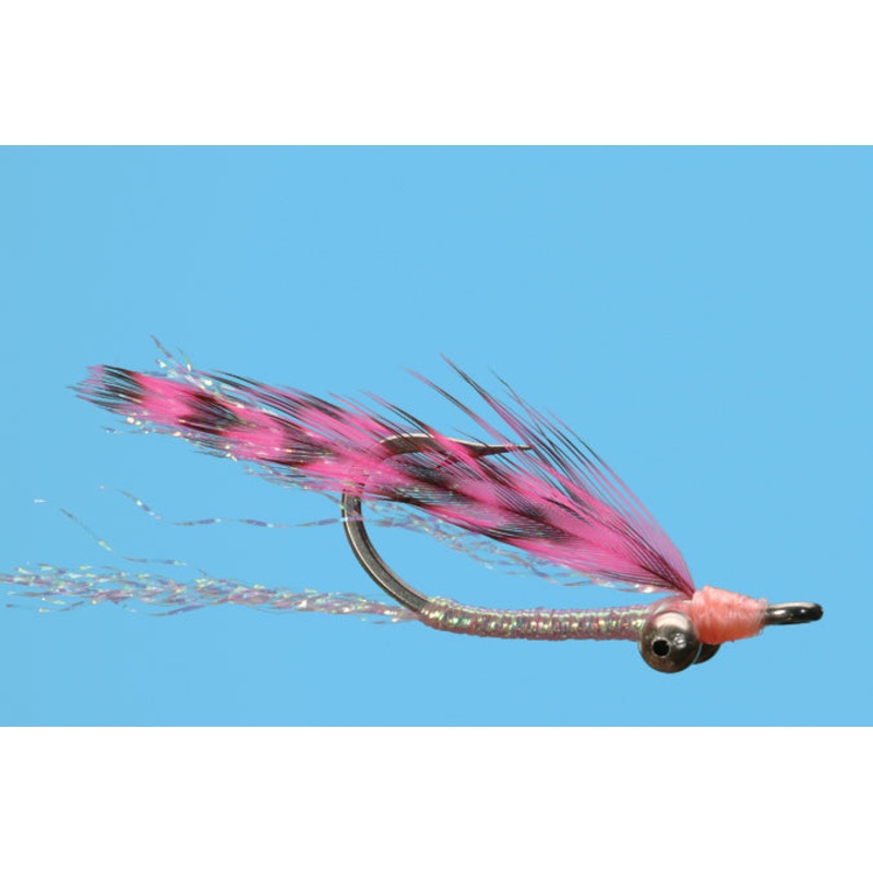 Pink Shrimp #6