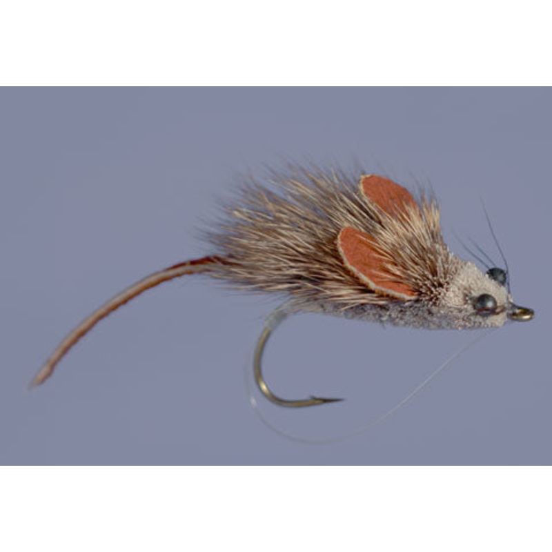 Whitlock's MouseRat - Natural