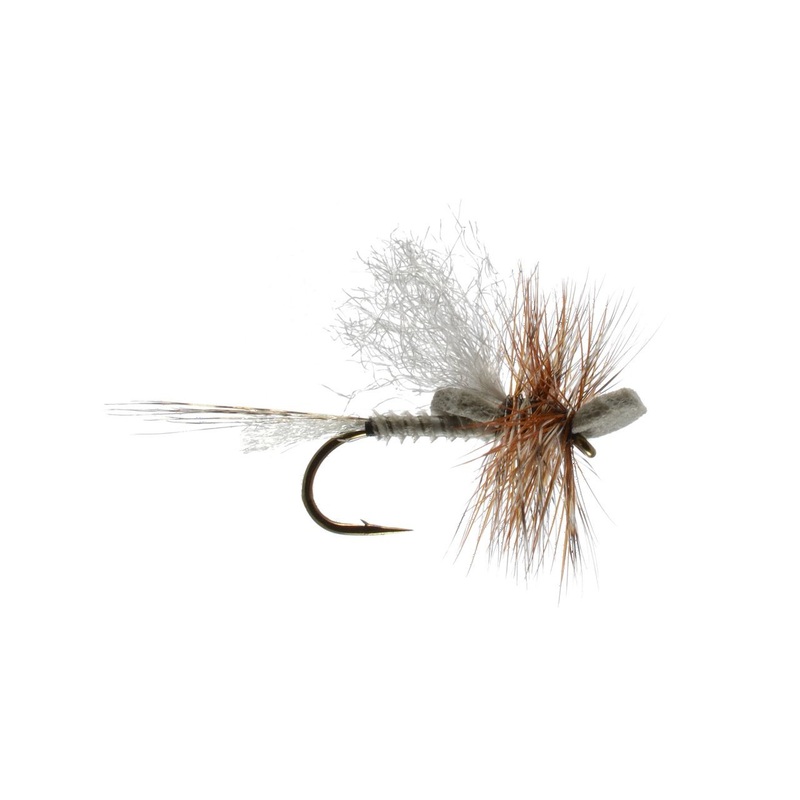 Mason's Mighty Morsel Mayfly