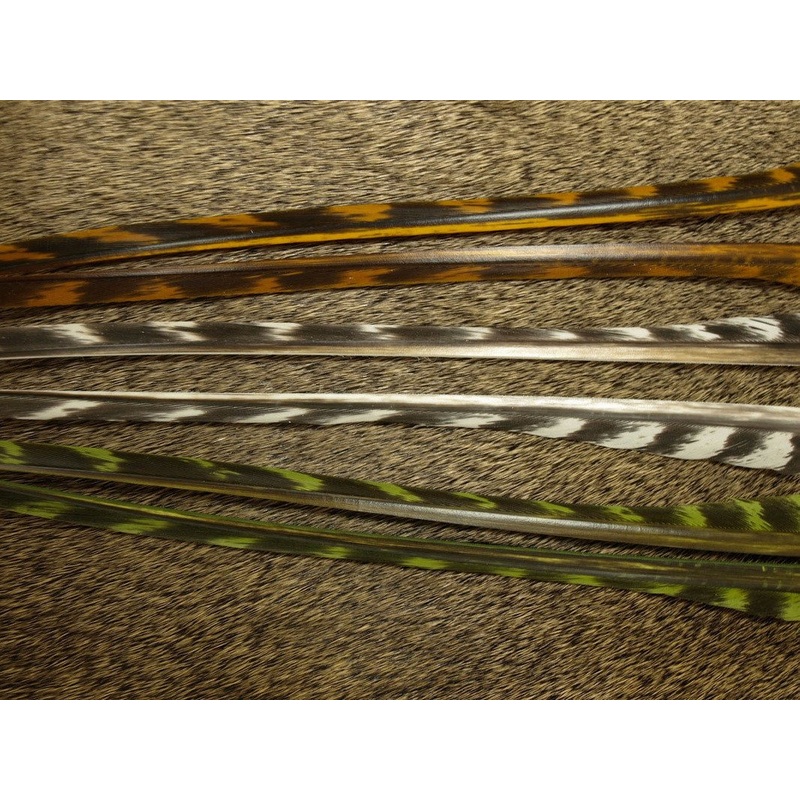 Nature's Spirit Stripped Barred Wild Turkey Biots