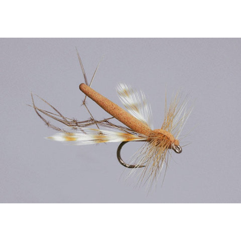 Rainy's Daddy Long Legs